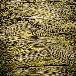 Similar image 11046725