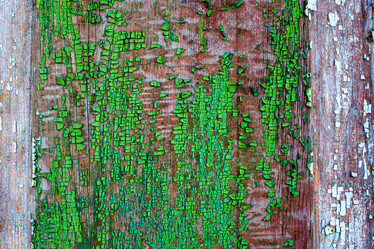 Similar image 10959217