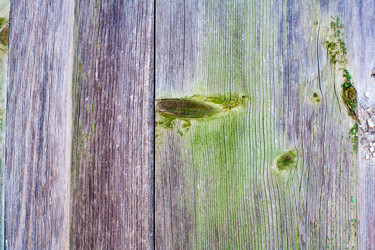 Similar image 10959218