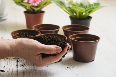 Similar image 10959837