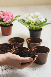 Similar image 10959838