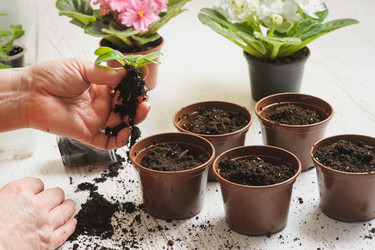 Similar image 10959839