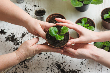 Similar image 10959692