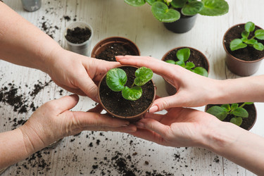 Similar image 10959693