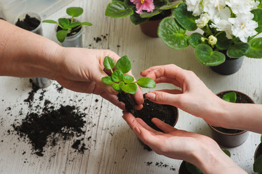 Similar image 10959694