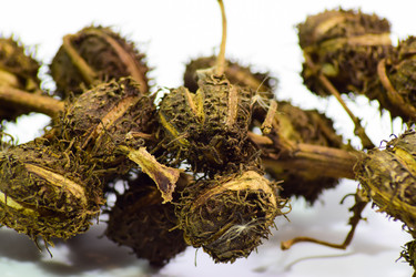 Similar image 11331782