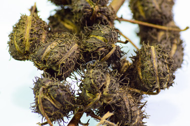 Similar image 11331783