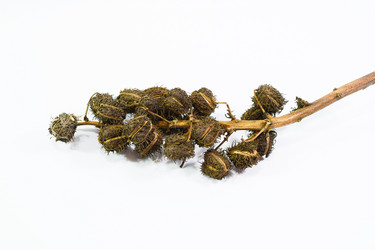 Similar image 11331785