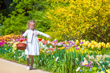 Similar image 11142992