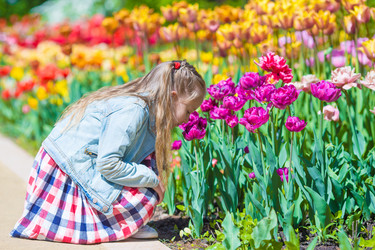 Similar image 11143029