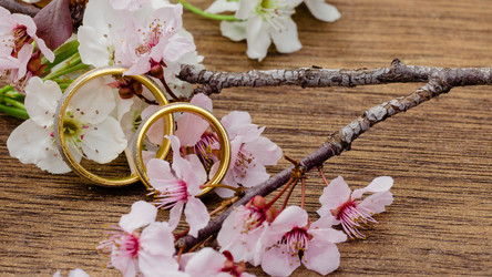 Similar image 10960374