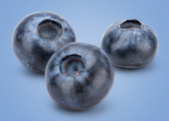 Similar image 10960031