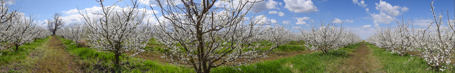 Similar image 11332418