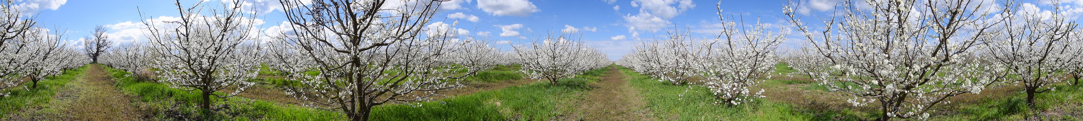 Similar image 11331791