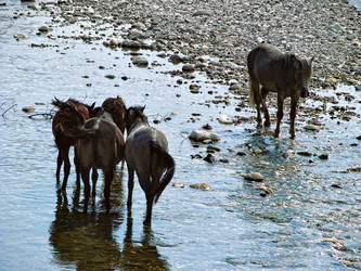 Similar image 10959699