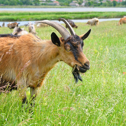 Similar image 10961545