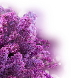 Similar image 11143582