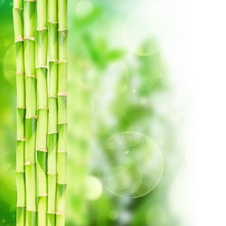 Similar image 11143611