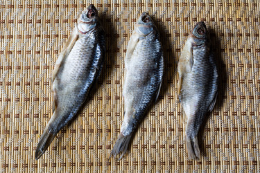 Similar image 10959700