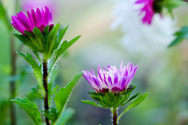 Similar image 10959710