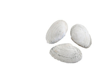 Similar image 10959712