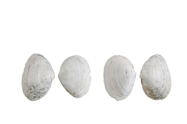 Similar image 10959715