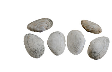 Similar image 10959716