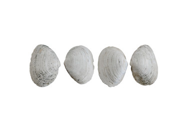 Similar image 10959718