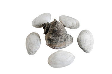 Similar image 10959721