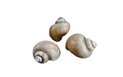 Similar image 10959758