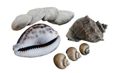 Similar image 10959759