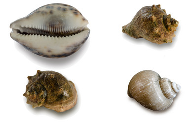 Similar image 10959760