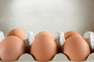 Similar image 10959796