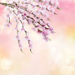 Similar image 11143785