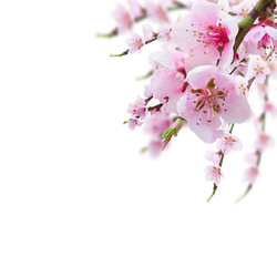 Similar image 11143786