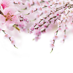 Similar image 11143886