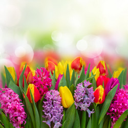 Similar image 11143888