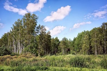 Similar image 10959798