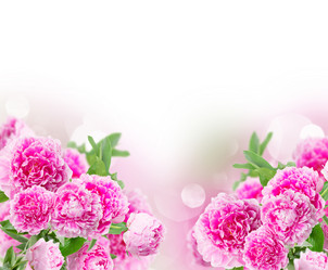 Similar image 11143919