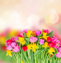 Similar image 11143921