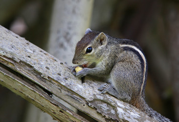 Similar image 11138082