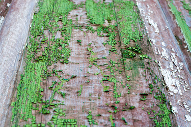 Similar image 10961373