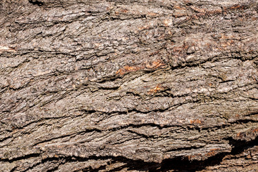 Similar image 10961508