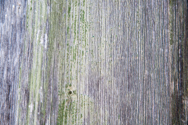 Similar image 10961512