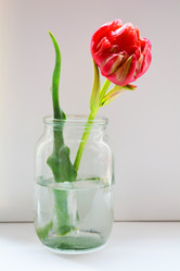 Similar image 10961364