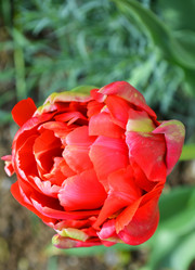 Similar image 10961366