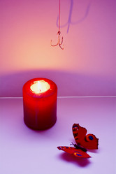 Similar image 10961368