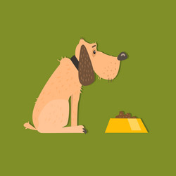 Similar image 11329590