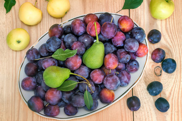 Similar image 10969299