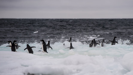 Similar image 11287894